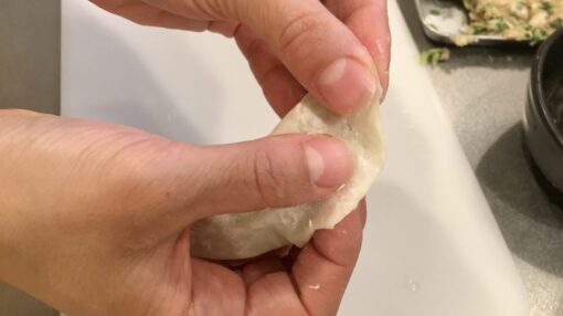 gyoza-step-15