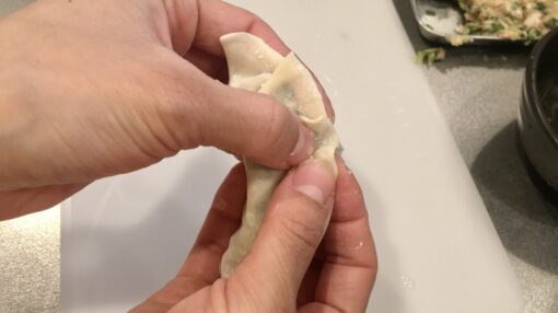 gyoza-step-16